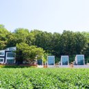 고은집펜션독채 이미지