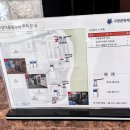 EBS 최고다 호기심 딱지 시즌3 이미지