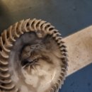 공감 카워시 | 자동차 에어컨 냄새 문제 해결 완료! 대구 에바크리닝 '공감카워시'