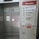 와이앤
