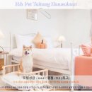 Pet 마을 | 타이둥 여행 끝판왕? H&amp; Pet Taitung Homeabout 호텔 후기 &amp; 추천