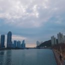 팔도면가손칼국수 네이버블로그
