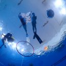 샘아쿠아라인 이미지