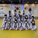 용인대골드태권도장 이미지