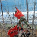 해병농장 이미지