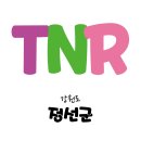 정선가축병원 이미지