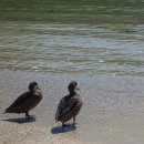 본초한의원 이미지