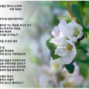 명자네 이미지