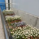 성동구립용답도서관 | 서울 성동구립 용답 도서관 재개관 / 타포린백 선물까지 받았어요!