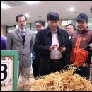 인삼약초시장 이미지