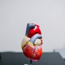 오마이핏 이미지