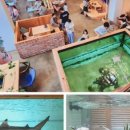 카페블루문 - 미추홀구 미추홀대로614번길 13-11 | 카페블루문