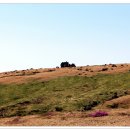 한라산 선작지왓 이미지