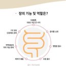 오혜숙 생활단식(세종 깨끗해짐 지사)