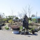 솔뫼농장 이미지