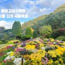 아침봄빵집 | 아침고요수목원 단풍 절정 시기와 국화축제 전시회 솔직 방문 후기와 알차게 즐기기 팁