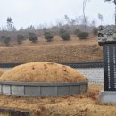 완양부원군 이충원 묘 이미지