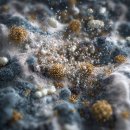 이 시대의 인문학 2기 | 2025 현대예술문화강좌2기 - &lt;인류세와 예술&gt;.. 서울대학교미술관