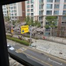 복싱바이러스 구월점 이미지