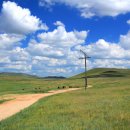 초원의 빛 이미지