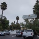 (주)모노몹 | (10일째)게티센터, UCLA, 헐리우드
