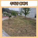 잔디공장 | 시흥 주차장 풀베기 공장 부지 잡초제거 예초작업 잔디관리 시공 후기