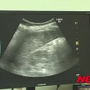 서울다나의원 이미지