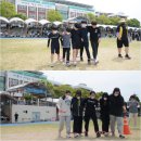 신성여자중학교 Daum카페