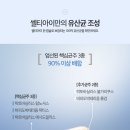 나은약국 네이버블로그