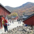 만추 이미지