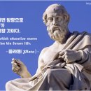 경희대 향남태권도 이미지