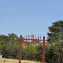 파주삼릉점 | 조선 왕릉 파주 삼릉 알찬 정보