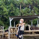 은지목장 이미지