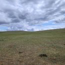 #[몽골여행] 미니사막의 실루엣과. 낙타체험.............3 이미지