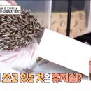 따봉 이미지