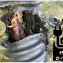 소망 태양광발전소 이미지