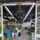 본가부대찌개 이미지