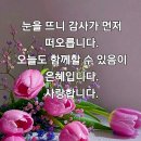 유월