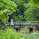 마법의 정원 이미지