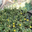 신흥목장 | 유유자적 제주 6일살이