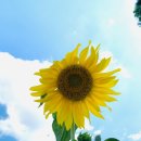 장안보건지소 이미지