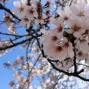 선진세차장 이미지