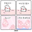 승식 휴식을 취허세요🍀 2290 이미지