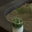 대주피오레1단지 삼거리(코스트코정문쪽) | 용인 대형카페｜데이던스 말차라떼·프렌치토스트 솔직후기