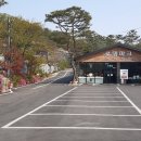 용인수목장