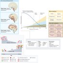 Re: 파킨슨 자가면역염증 관련 ... 2022 Nature 논문.. 이미지