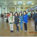 (주)성일카 이미지