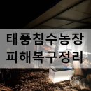 비안농장 이미지