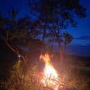 페리카나치킨 갈산점 이미지