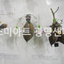 상상아트센터미술학원